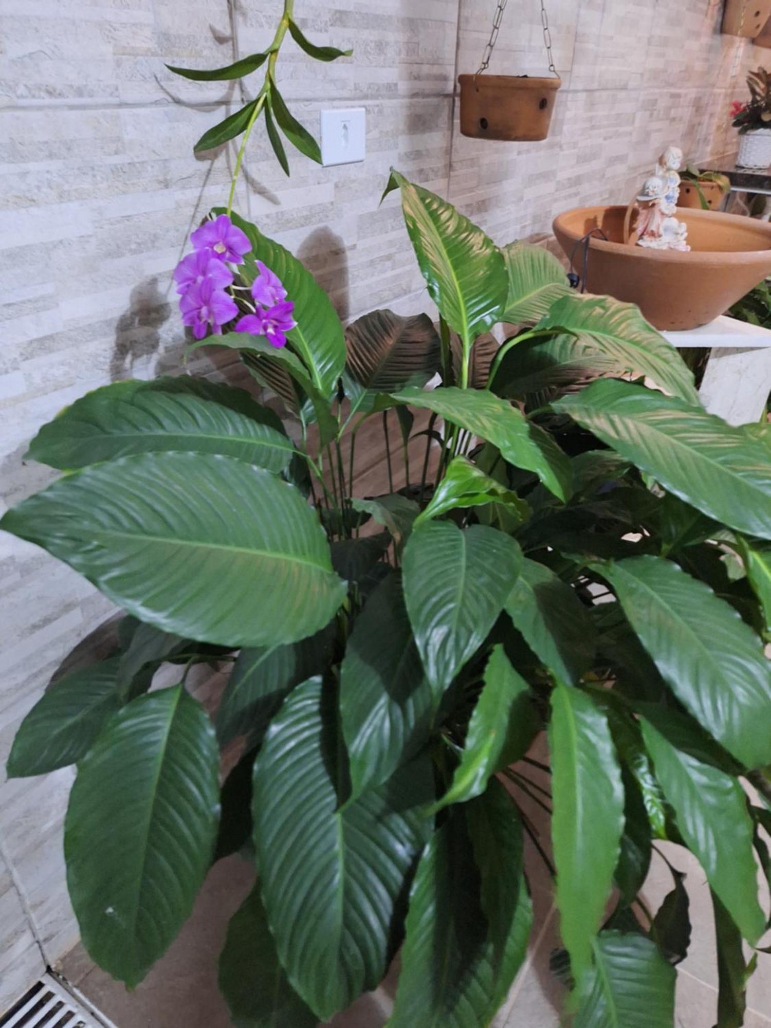 Cantinho Da Paz Niterói Szoba fotó
